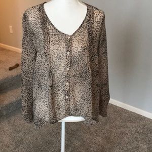 Urban Outfitters sheer cheetah blouse